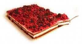 placa-frutos-silvestres